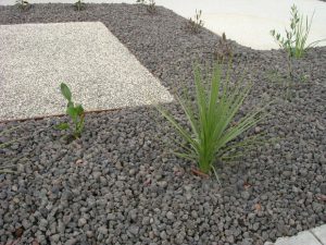 40mm natural drainage aggegate used as a mulch