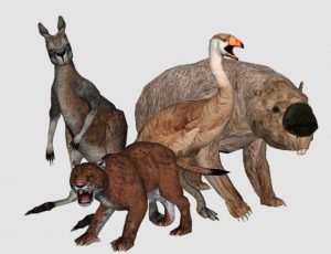 australiamegafauna australiamegafauna