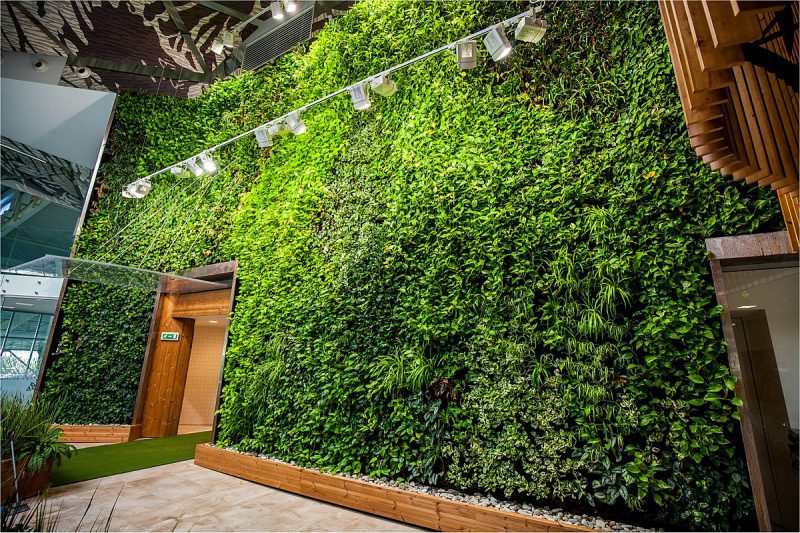 1200px-Marek_Sobola_Green_wall 1200px-Marek_Sobola_Green_wall